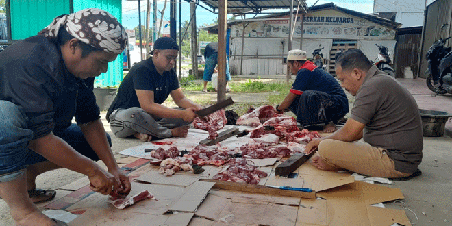 PWI-Madina-Berqurban-2-Ekor-Kambing-Jenis-Benggala-2