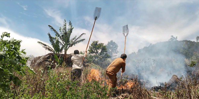 Situasi-Kebakaran-Hutan-dan-Lahan-di-malam-hari.gif-2