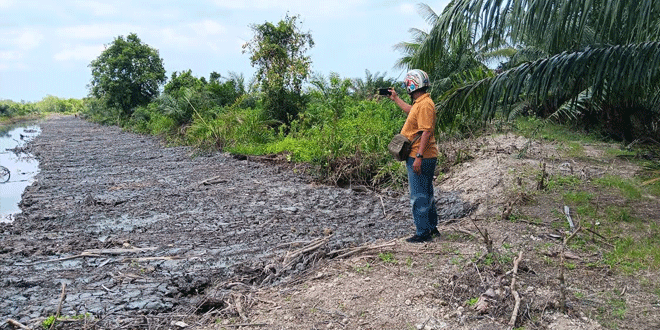 Biku-yang-sedang-beroperasi-diduga-di-lahan-hutan-lindung-mangrove.gif-2