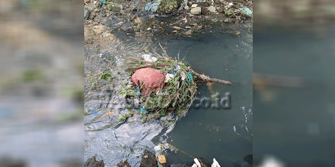 Sampah-berserak-di-sungai-Pintu-Air,-Kelurahan-Sitiarjo-I-2